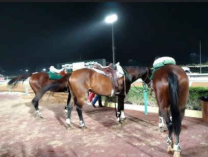 Equestrian Club - Riyadh - +966 55 772 2564