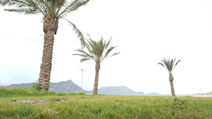 Overlooking volcanic mountain - حي الحيلة الغربي -