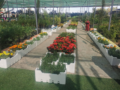 مشتل الاكليل - Dammam - +966 53 122 0000