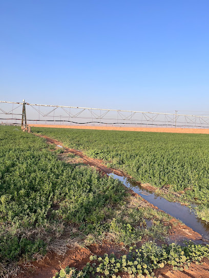 مزرعة المسفر - Saudi Arabia|15928|4RFW+JWP