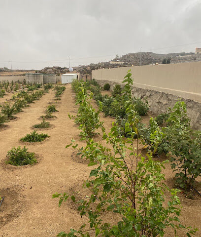 مزرعة وشاليه تلال اللدايد | Ladayd Hills Farm & Chalet - Al Namas -