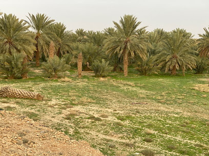 مزرعة محمد بن ابراهيم الفيصل - Tumair Industrial Area -