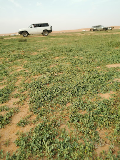 روضة قصور المليحة - Saudi Arabia|15527