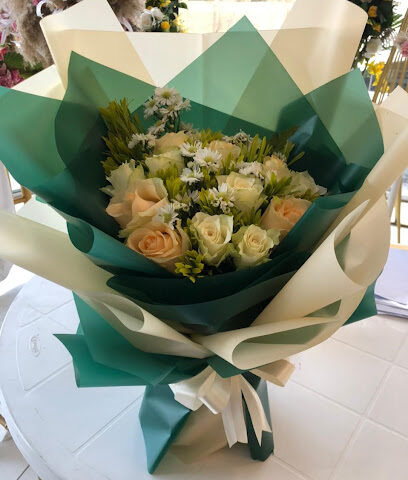 ريفان - Taif - +966 53 555 3179
