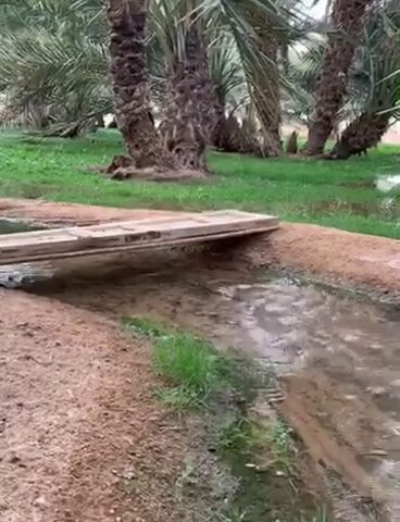 قصر ومزرعة المشوح -  -