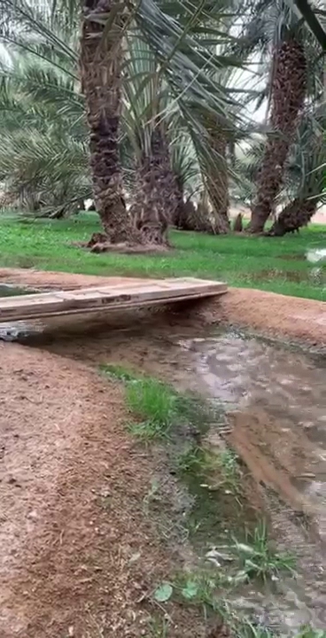 قصر ومزرعة المشوح - Saudi Arabia|17687