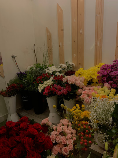 Colors - Saudi Arabia|Al-Kharj 16277|Ar Rayyan|582C+65H