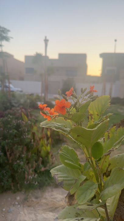 حديقة الطاقة - Dhahran 34512