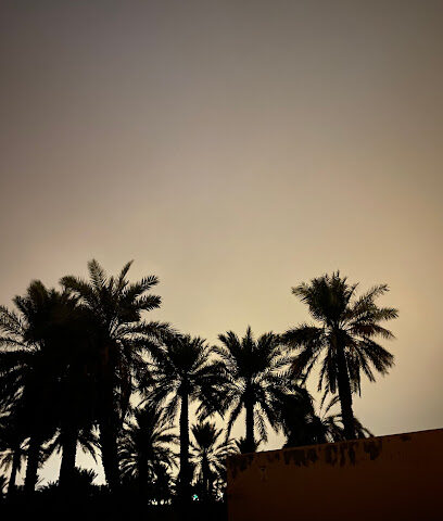 مزرعة الحميدان - Al Bukayriyah -
