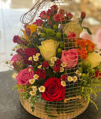 همسة ورد - Najran - +966 50 309 3707