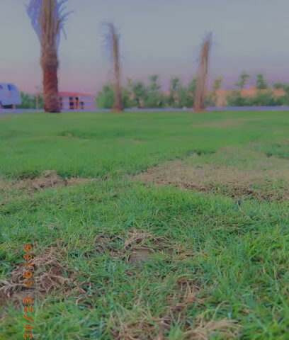 مزرعة عوض غازي الميموني واولادة - Hafar Al Batin -