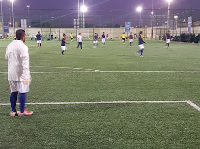 ملاعب الليجا - Riyadh - +966 50 273 1311