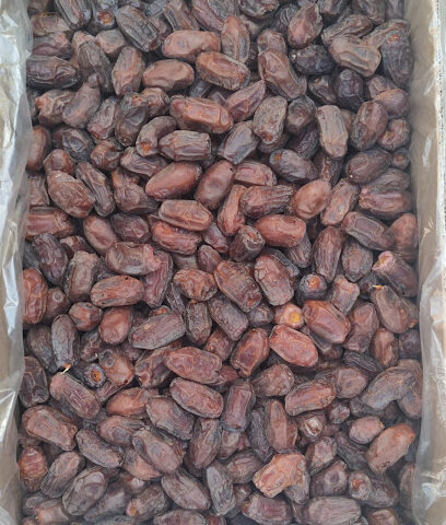 alghadeer Farm -  -