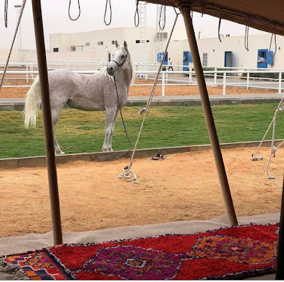 Andaa Equestrian Center - Riyadh -