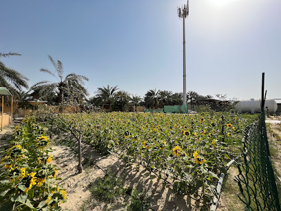 Paradise FARM - Dammam - +966 56 249 3756