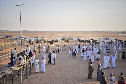 Equestrian and Camel Club Hail -  -