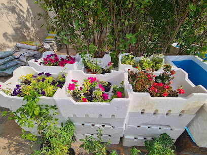مشتل جنان متألقة الزراعية - Ras Tanura - +966 54 008 3924