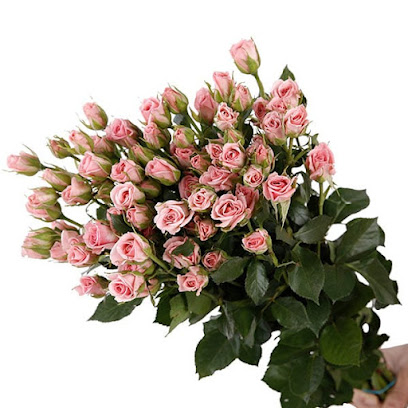 ازهار ستلا للهدايا - Samtah - +966 53 049 5668