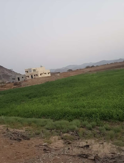 مزرعة العاصمي - Saudi Arabia|Al Habib 87956|MFMP+MQ