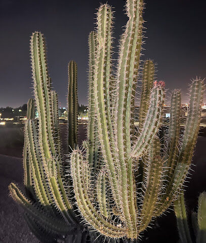 Orbits Arabia - Al Jubail -