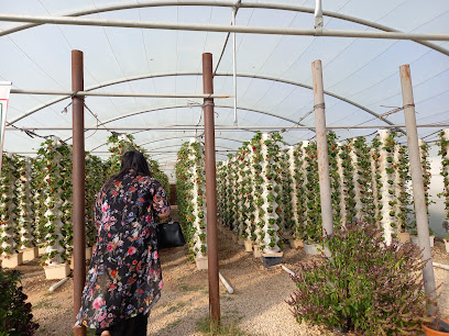 Mohammed Bin Saad Al-Obaidi farm - Al-Kharj - +966 50 396 2371