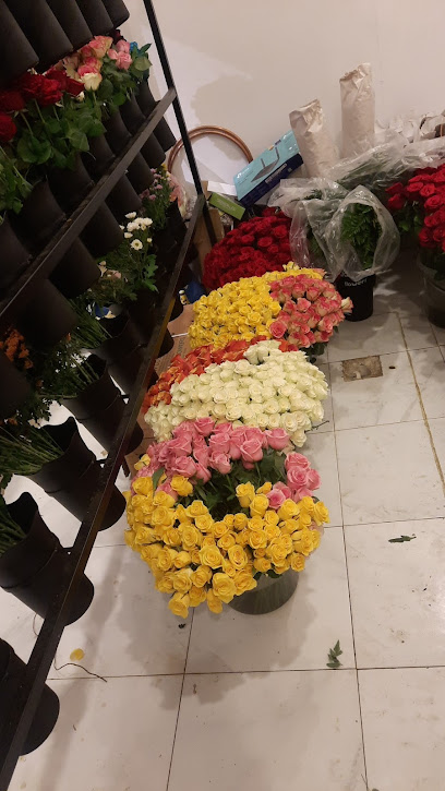 صناديق الورود - Flower Boxes - Yanbu 46423