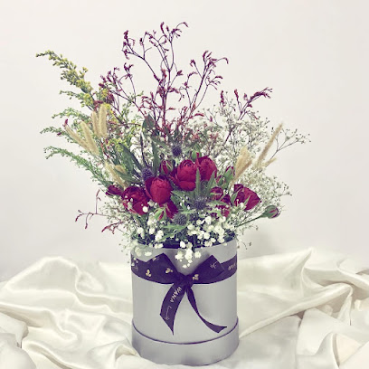 Wana وانا - Mecca - +966 59 366 3534