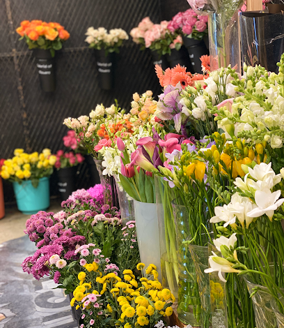 NaseemAlzohoor - Dammam - +966 54 241 7766