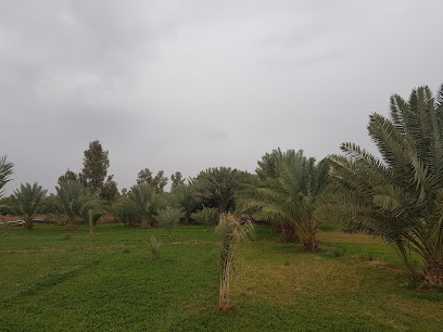 Farm Abdul Rahman Mohammed al-Othman mercy of God - Tharmda - +966 55 520 5156