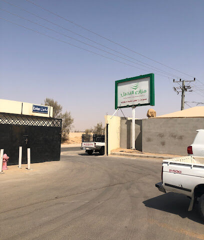 مصنع مزارع النخيل للتمور - Buraydah - +966 9200 06467
