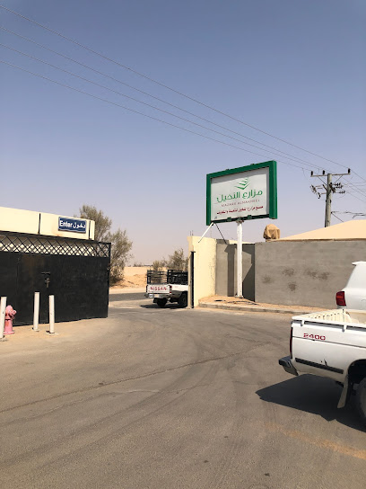 مصنع مزارع النخيل للتمور - Saudi Arabia|Buraydah 52549|Unnamed Road