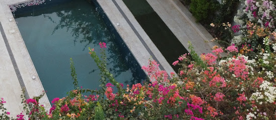 مسبح الشراونه - Abu Arish - +966 50 787 3147