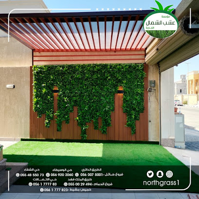 عشب الشمال - Khamis Mushait - +966 56 177 7823