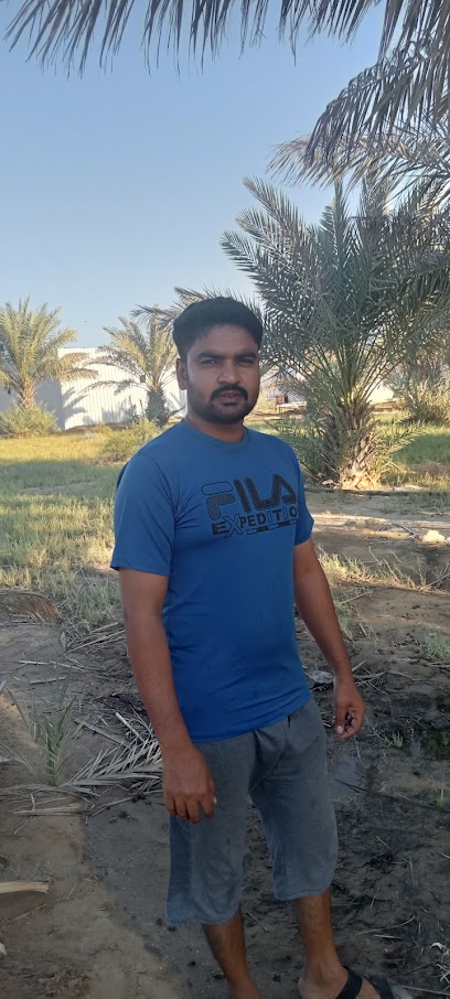 Dates plant - Saudi Arabia|Yanbu 46537|CG9J+PP6