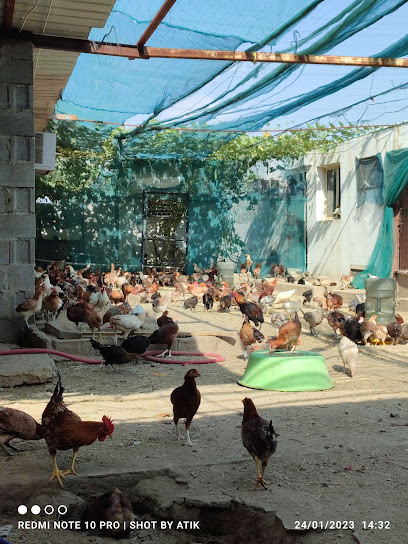 SH Agro farm