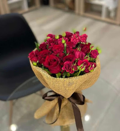 فيوري تورا - Baljurashi - +966 55 616 1672