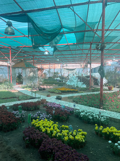Nostalgia shop for flowers - Saudi Arabia|Buraydah 51441|7150