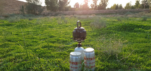 مزرعة ناصر عبدالله الفيصل (الشيح) تمير - Tumair Industrial Area -