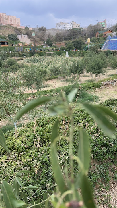 مزرعة بساتين اللوز - Saudi Arabia|Al Bahah|بني ظبيان ، قرية الخويتم|Alrabwah