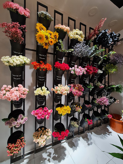 ليلك فلاورز | Lilac Flowers - Khamis Mushait 89051