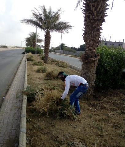 حديقة الركوبة - Al Rokobah - +966 50 204 9740