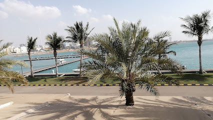 The Equestrian Club - Jeddah - +966 55 600 1728