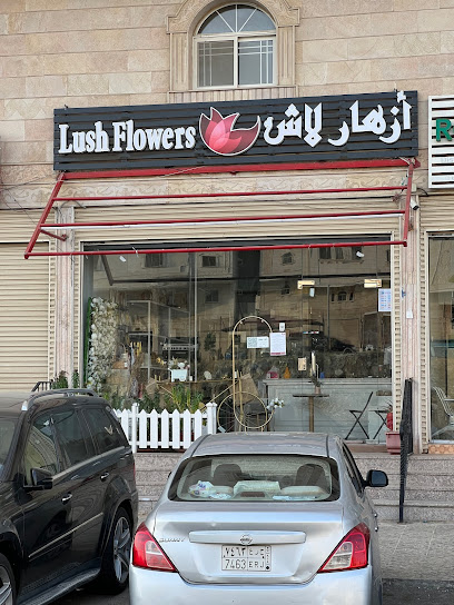 أزهار لاش - Mecca 24351