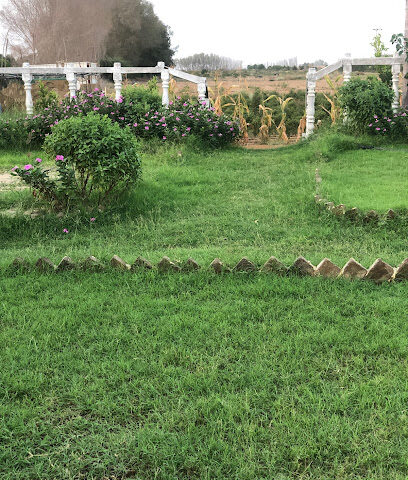 مزرعة عبده بلغيث -  - +966 56 356 9746