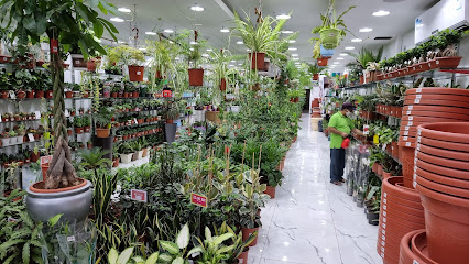 MNS Garden - Dammam - +966 54 434 1670