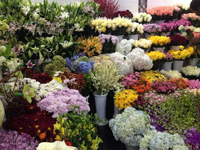ورد مارين Marin Flowers - Al Duwadimi -
