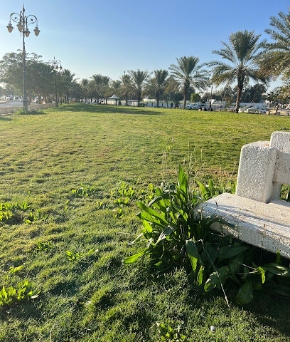 حديقة النافورة - Tabuk -