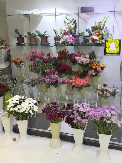 Nardenaflowers - Saudi Arabia|Saihat 32437|Al Salam|3993 الخامس عشر