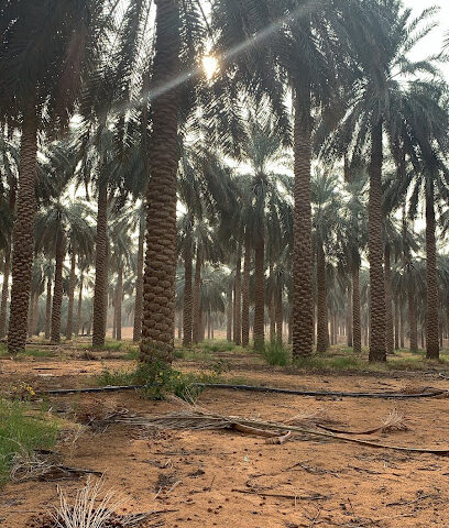 الغزيليه - Unayzah -