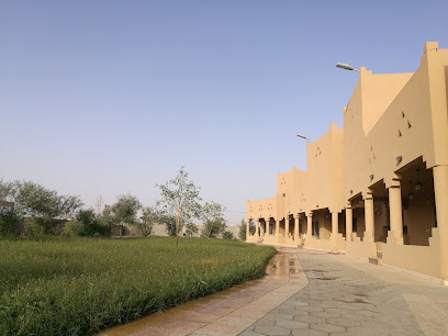 مزرعة ريس بن بجاد الريس _ البجاديه - Tumair - +966 50 000 8008
